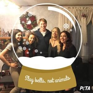Meet your Posher, Antonietta